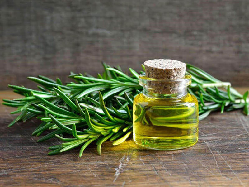 طرز تهیه دمنوش رزماری
